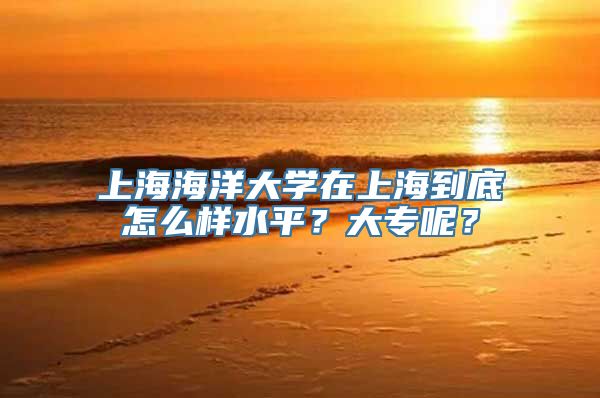 上海海洋大学在上海到底怎么样水平？大专呢？