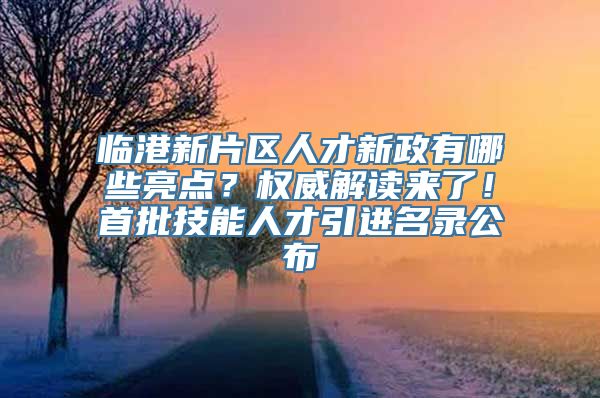 临港新片区人才新政有哪些亮点？权威解读来了！首批技能人才引进名录公布