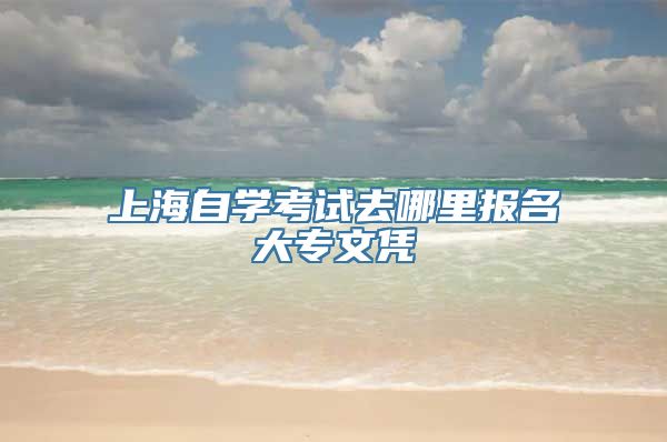 上海自学考试去哪里报名大专文凭