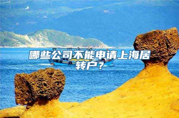 哪些公司不能申请上海居转户？