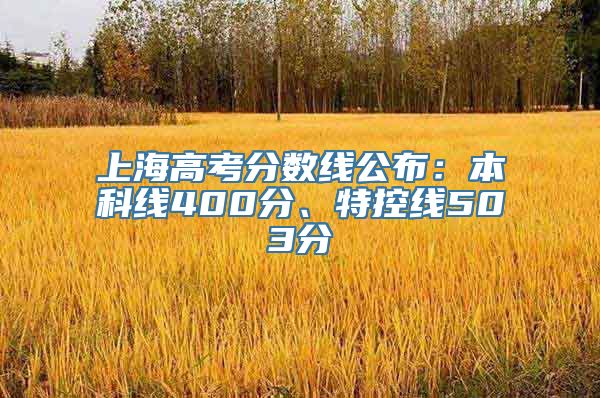 上海高考分数线公布：本科线400分、特控线503分