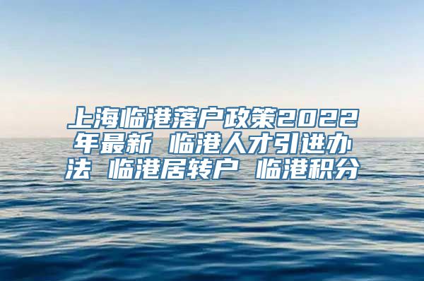 上海临港落户政策2022年最新 临港人才引进办法 临港居转户 临港积分