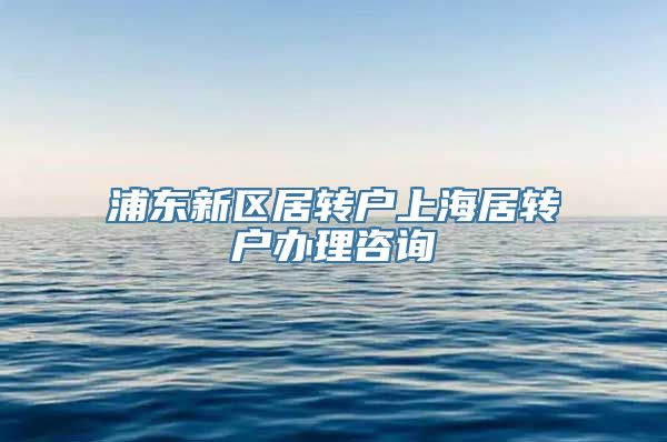 浦东新区居转户上海居转户办理咨询