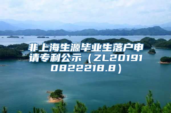 非上海生源毕业生落户申请专利公示（ZL201910822218.8）