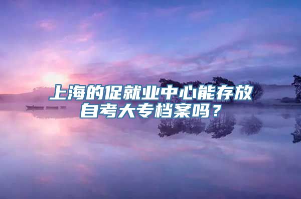 上海的促就业中心能存放自考大专档案吗？