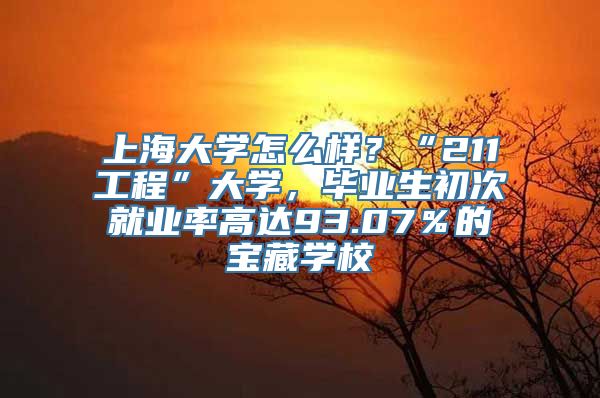 上海大学怎么样？“211工程”大学，毕业生初次就业率高达93.07％的宝藏学校