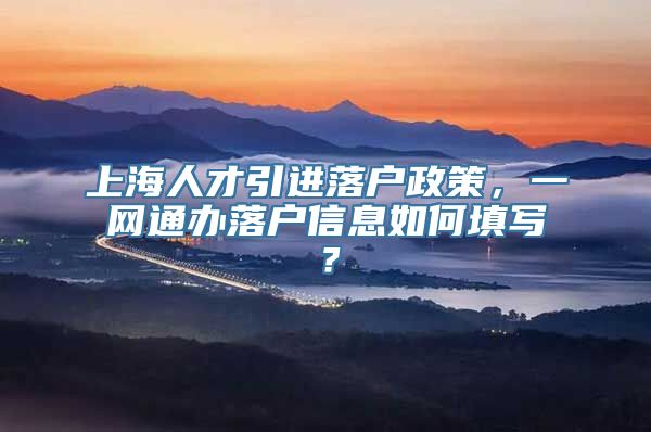 上海人才引进落户政策，一网通办落户信息如何填写？