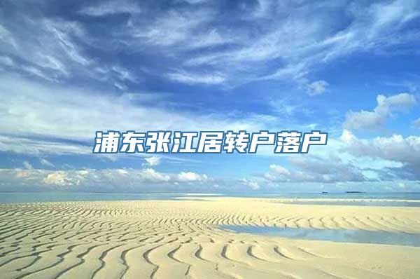 浦东张江居转户落户