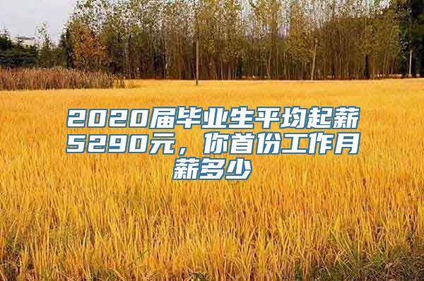 2020届毕业生平均起薪5290元，你首份工作月薪多少