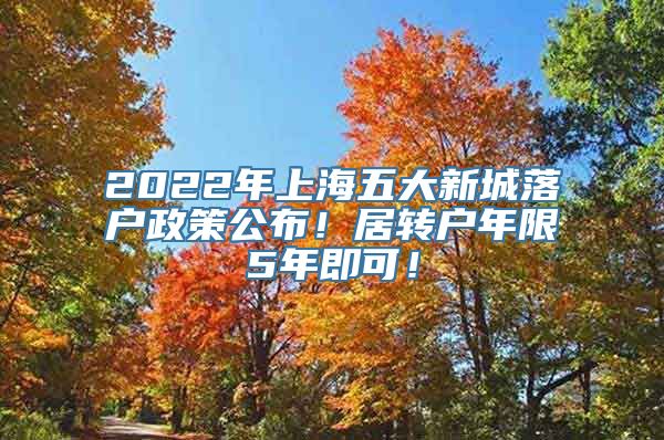 2022年上海五大新城落户政策公布！居转户年限5年即可！