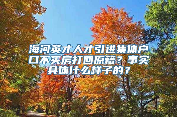 海河英才人才引进集体户口不买房打回原籍？事实具体什么样子的？