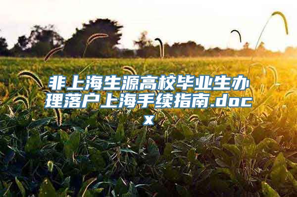 非上海生源高校毕业生办理落户上海手续指南.docx