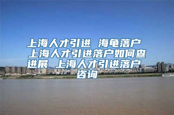 上海人才引进 海龟落户 上海人才引进落户如何查进展 上海人才引进落户 咨询