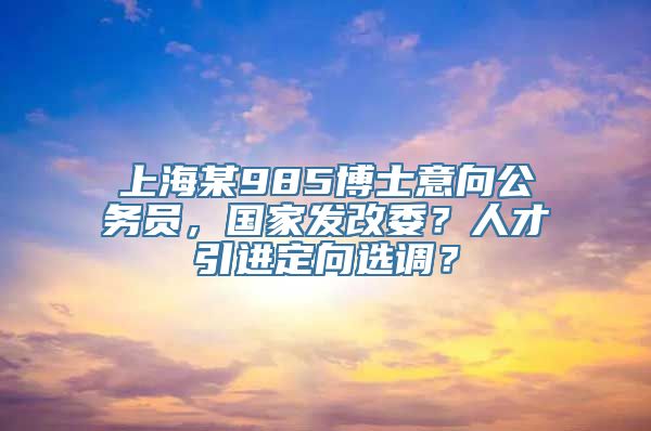 上海某985博士意向公务员，国家发改委？人才引进定向选调？