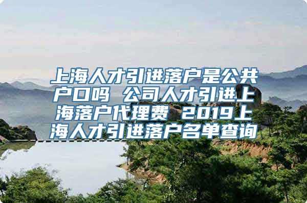 上海人才引进落户是公共户口吗 公司人才引进上海落户代理费 2019上海人才引进落户名单查询