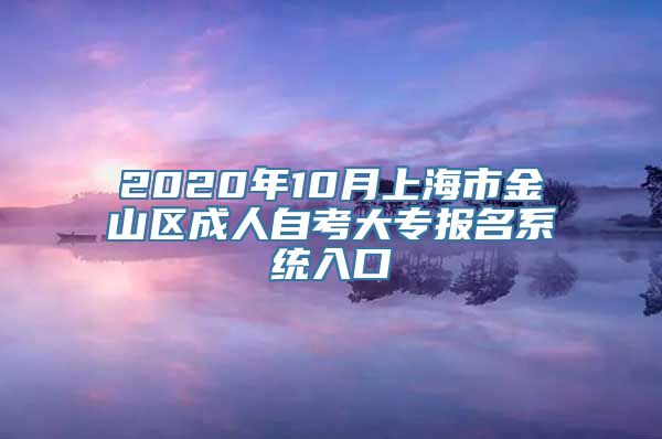 2020年10月上海市金山区成人自考大专报名系统入口