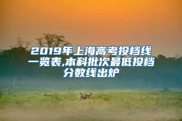 2019年上海高考投档线一览表,本科批次最低投档分数线出炉