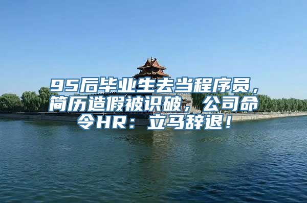 95后毕业生去当程序员，简历造假被识破，公司命令HR：立马辞退！