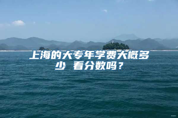 上海的大专年学费大概多少 看分数吗？