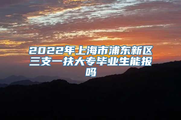 2022年上海市浦东新区三支一扶大专毕业生能报吗