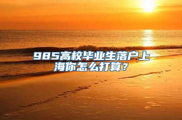 985高校毕业生落户上海你怎么打算？