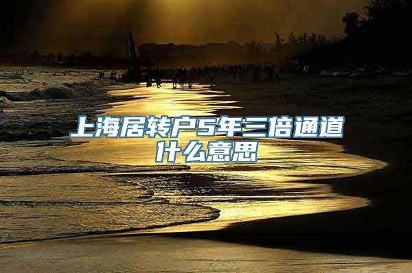 上海居转户5年三倍通道什么意思