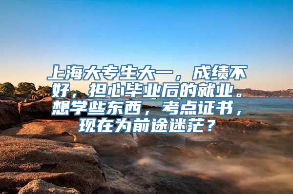 上海大专生大一，成绩不好，担心毕业后的就业。想学些东西，考点证书，现在为前途迷茫？