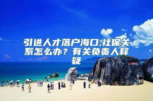 引进人才落户海口,社保关系怎么办？有关负责人释疑