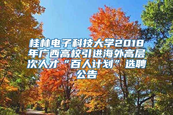 桂林电子科技大学2018年广西高校引进海外高层次人才“百人计划”选聘公告