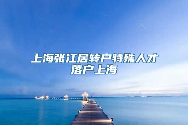 上海张江居转户特殊人才落户上海