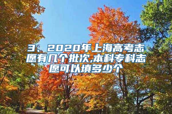 3、2020年上海高考志愿有几个批次,本科专科志愿可以填多少个