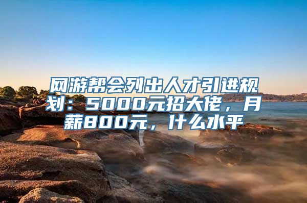 网游帮会列出人才引进规划：5000元招大佬，月薪800元，什么水平