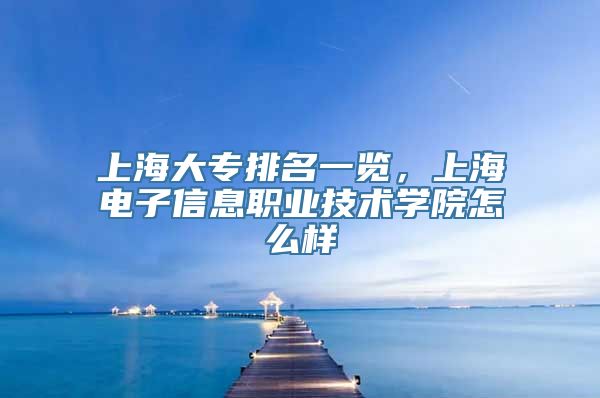 上海大专排名一览，上海电子信息职业技术学院怎么样