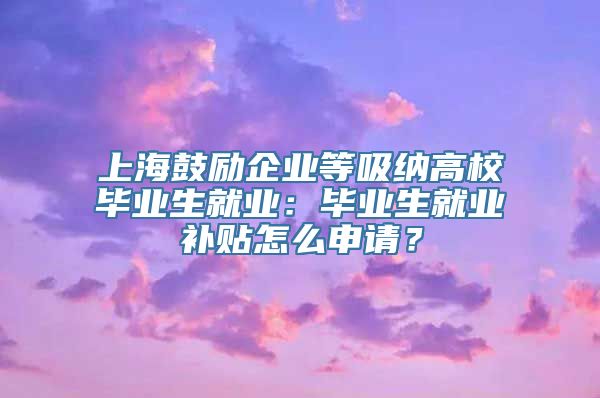 上海鼓励企业等吸纳高校毕业生就业：毕业生就业补贴怎么申请？