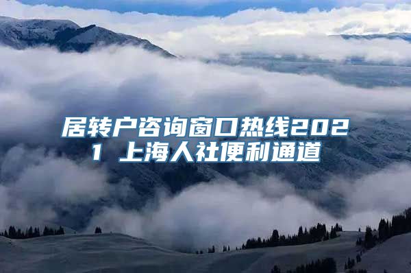 居转户咨询窗口热线2021 上海人社便利通道