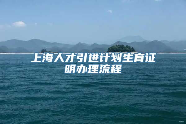 上海人才引进计划生育证明办理流程