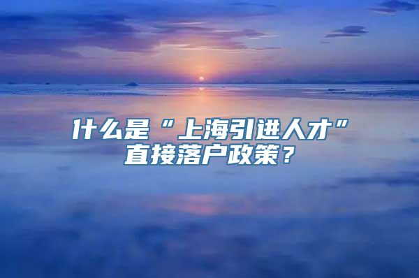 什么是“上海引进人才”直接落户政策？