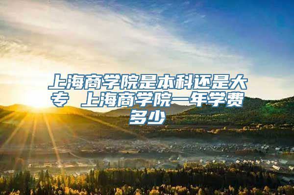 上海商学院是本科还是大专 上海商学院一年学费多少