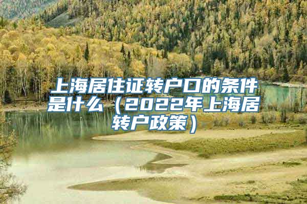 上海居住证转户口的条件是什么（2022年上海居转户政策）