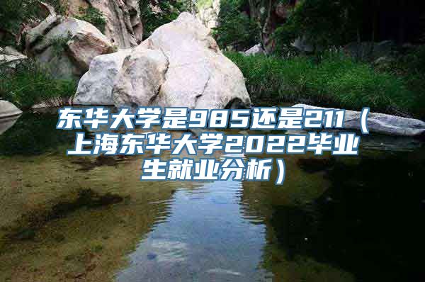 东华大学是985还是211（上海东华大学2022毕业生就业分析）