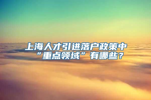 上海人才引进落户政策中“重点领域”有哪些？