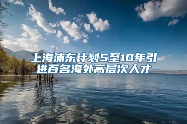 上海浦东计划5至10年引进百名海外高层次人才